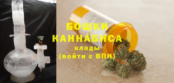 индика Балабаново