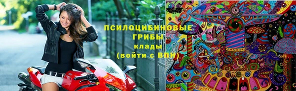 индика Балабаново
