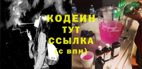 индика Балабаново