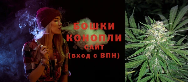 индика Балабаново