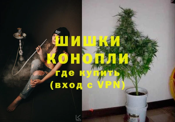 индика Балабаново