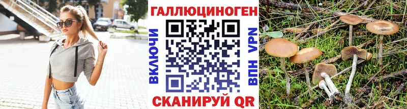 купить   Северобайкальск  ОМГ ОМГ как войти  Галлюциногенные грибы Magic Shrooms 