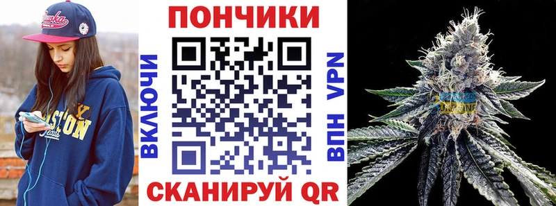 Шишки марихуана сатива  где можно купить наркотик  Северобайкальск 